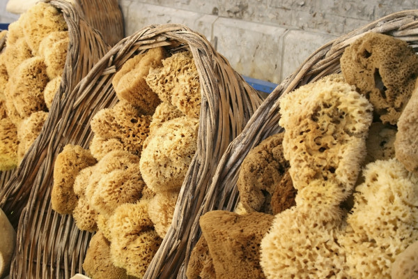 SPONGES – USES and CARE - Queen of Clean