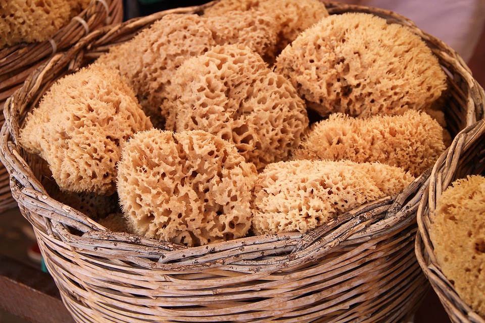 Uses and Care for Sponges and What To Choose Video - As ...